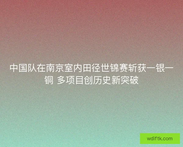 中国队在南京室内田径世锦赛斩获一银一铜 多项目创历史新突破